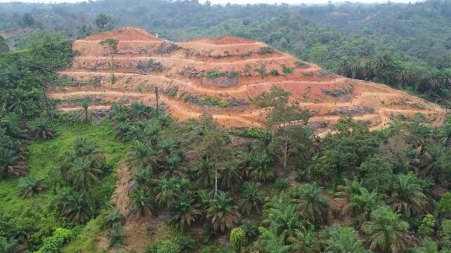 Aerial view of terraced hillside with exposed red soil surrounded by dense tropical palm forest and lush greenery in Langkat, North Sumatera, Indonesia.