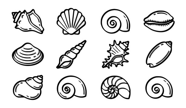 Minimal Tropical Sea Shell Outline Icon Set for Ocean Marine Collection