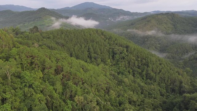Aerial view of lush green forested mountains with rolling hills and mist in Puer, Yunnan, China.