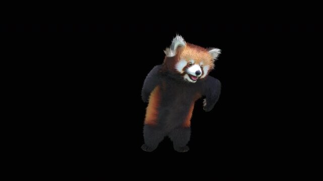Cute 3D animated red panda dancing rumba with alpha channel. Cartoon animal character isolated for compositing, motion graphics, video editing, and digital content creation.
