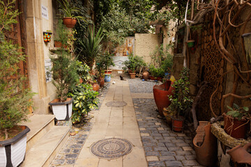 Fototapeta premium Peaceful courtyard lined with vibrant plants and stones, inviting tranquility in the heart of the city