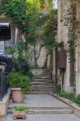 Fototapeta premium Hidden garden pathway revealing lush greens and tranquil steps in a sunny afternoon