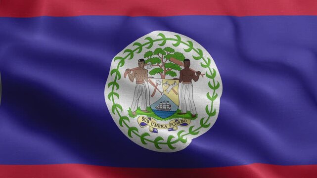 Belize Flag Waving Animation | Realistic 3D National Flag Loop 4K