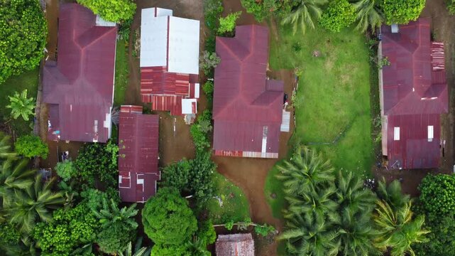 Aerial view of traditional houses surrounded by lush palm trees and tropical vegetation in Langkat, North Sumatera, Indonesia.