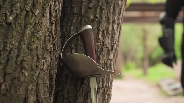 Close up of sword with curved blade and wooden handle stuck in tree bark as gloved hand approaches. Glove is black subject wears dark clothing. Background shows blurred greenery and pathway