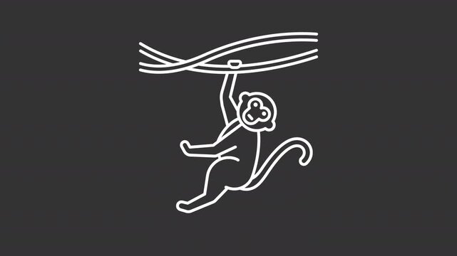 Cartoon monkey swinging white line animation. Stylized animal character animated icon. Hanging from curved branches. Curved tail details. Isolated element on dark background. Alpha transparent video