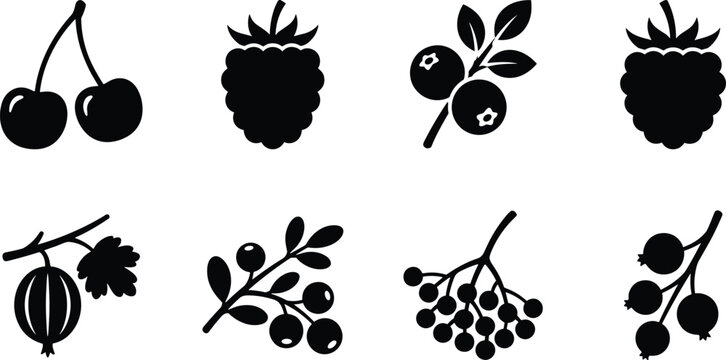 Wild Berries and Garden Fruits Silhouette Vector Icons Set Isolated on White Background