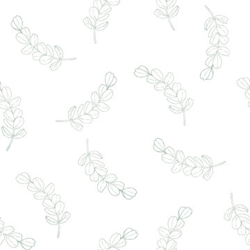 Vector green eucalyptus branch seamless pattern, graphic hand drawn isolated illustration. Botanical christmas, winter, and wedding clipart. For designers, invitations, decoration, postcards, wrapping