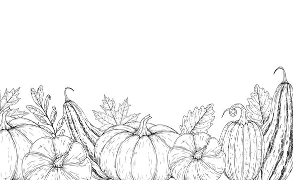 Vector pumpkin border, frame with autumn maple and oak leaves. Vegetable minimalist graphic logo, hand drawn isolated illustration. Halloween autumn and thanksgiving themes. Isolated botanical clipar