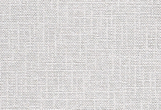 Heavy canvas paper texture forms shallow woven relief along tight crosshatched grain across the paper surface, supporting mixed-media artwork beside artistic overlays through a firm painting surface