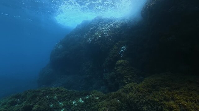 Undersea landscape - Scuba diving in th Mediterranean Sea