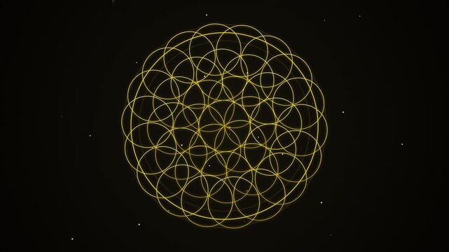 Sacred geometry flower of life animation, golden mandala pattern on black background, mystical spiritual symbol loop
