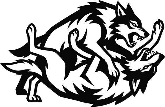 Aggressive fighting wolves mascot, black and white snarling wolf vector, fierce wild animal combat illustration for sports logos