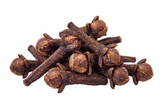 Dried cloves isolated on transparent background