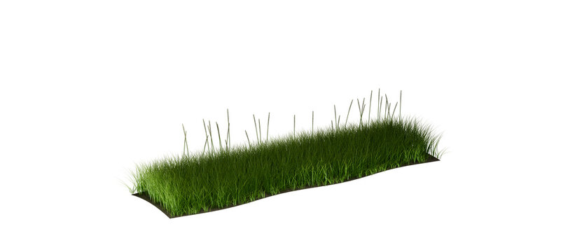 Diagonal Perspective Meadow Swath Sloping Green Grass Bank Terrain Isolated on Transparent Background