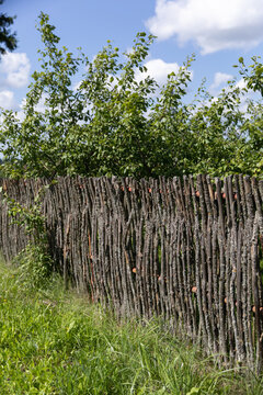 Traditional woven branch fence made from natural wood in a rural village landscape, showcasing simple construction and authentic countryside craftsmanship. The rustic structure blends naturally 