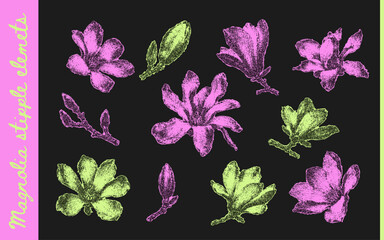 Obraz premium Neon magnolia flower collection in pink and lime tones with stippled grain, buds and blooming branches on black. Botanical elements for collage, posters and contemporary print design. Vector illustrat