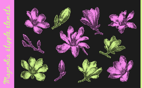 Neon magnolia flower collection in pink and lime tones with stippled grain, buds and blooming branches on black. Botanical elements for collage, posters and contemporary print design. Vector illustrat