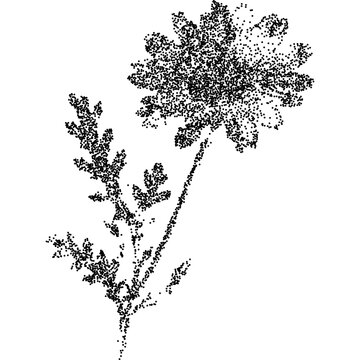 Flower with retro photocopy stipple effect, for grunge punk y2k collage design. Vector illustration in vintage halftone dot dither design for banner or poster