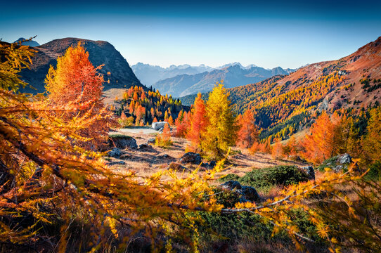 Colorful larch trees in Dolomite Alps. Impressive autumn view of  Giau pass, province of Belluno in Italy, Europe. Fabulous morning scene of mountain valley. Traveling concept background.