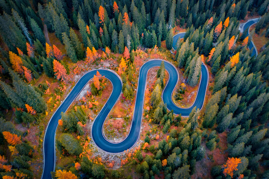 Fantastic autumn view of winding road in fir tree forest. Wonderful morning scene of asphalt roadway among fir and larch woodland. Amazing outdoor scene of Dolomite Alps. Traveling concept background.