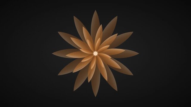 sleek charcoal and copper flower tunnel motion