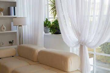 Beige sofa in a bright living room interior with sheer curtains, a floor lamp, bookshelf, and houseplants near the window. High quality photo © Татьяна Швец