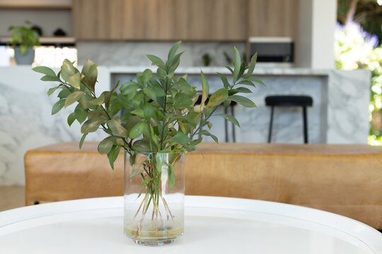 Clear glass vase holding green stems and water, sitting on round white table by marble island