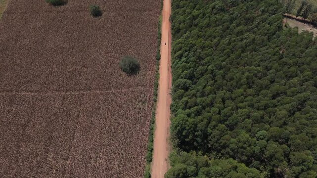 Aerial view of a dirt road separating a dry agricultural field from a dense forest in the rural landscape of Kiminini, Trans-Nzoia County, Kenya.