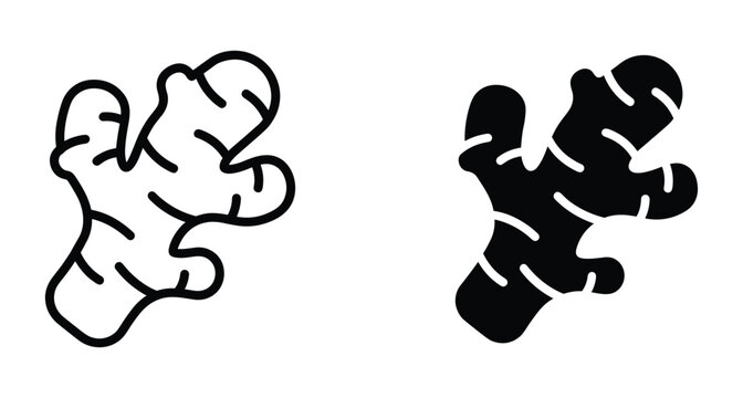 Ginger root icon set featuring outline and solid silhouette styles for cooking spice herbal medicine food ingredient and kitchen design