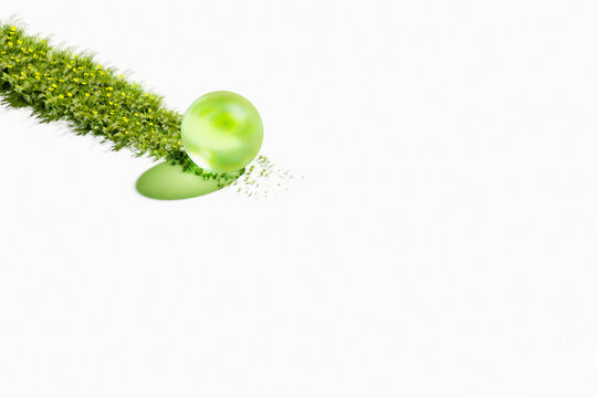 sphere rolling through grass trail environmental sustainability