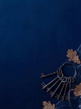 A vintage arrangement of weathered ornate antique keys surrounded by dried autumn leaves on a deep midnight blue textured background