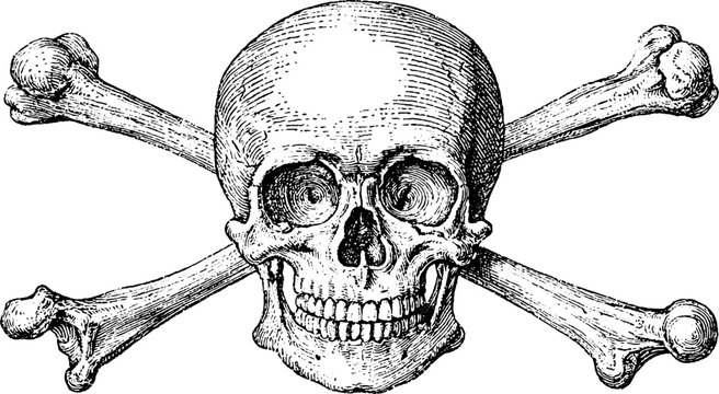 Antique engraving skull and crossed bones isolated on white background for vintage emblem background and historical pirate symbol design or caution graphic