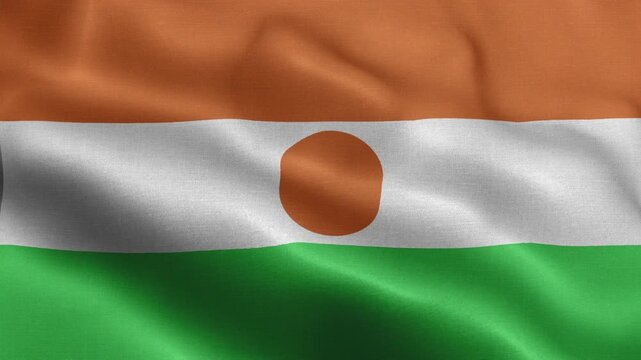 Niger Flag Waving Animation | Realistic 3D National Flag Loop 4K