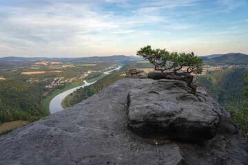 Elbblick mit Sandsteinfelsen und Kiefer vom Lilienstein © Christoph