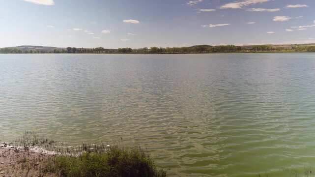 Tranquil view of Nesyt pond shoreline with wind rustling through tall reeds near Mikulov, South Moravia.