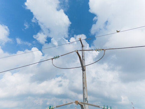 High voltage power line connections and insulators on top of utility pole close up electrical distribution infrastructure public service technology close up view industrial power grid supply