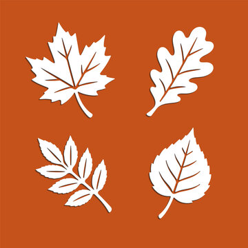 Paper cutting set with maple leaf, oak leaf and other tree leaves. Simple flat silhouette vector art in paper cut craft style.