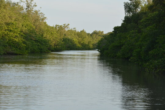 moro de sp - bahia 