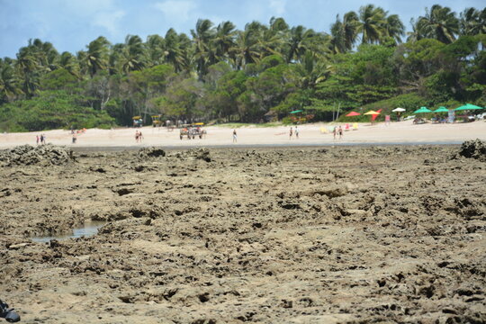 moro de sp - bahia 