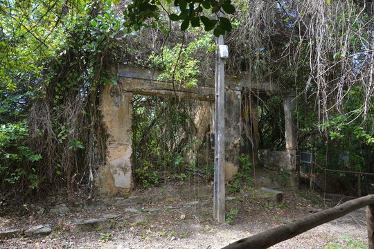 morro de sp - bahia 