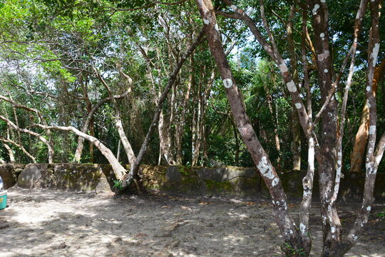 morro de sp - bahia 