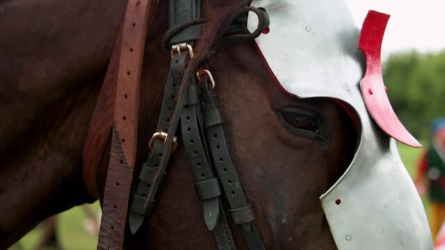 Close macro perspective showcases noble stallion's eye, brown fur texture, and polished armor head defense during historical medieval festival.