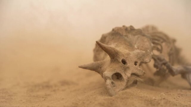 Fossilized dinosaur skull partially buried in blowing desert sand
