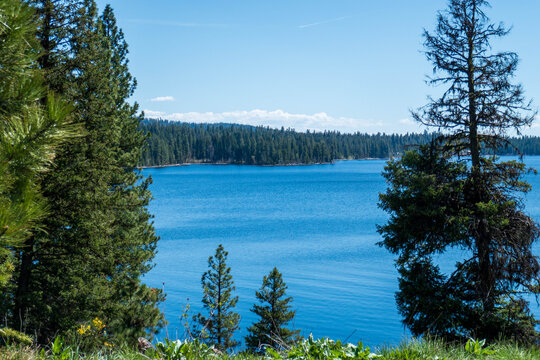 Scenic view of the bright blue waters of Payette Lake in McCall, Idaho, surrounded by dense evergreen pine forests under a clear summer sky.