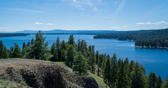 Scenic view of the bright blue waters of Payette Lake in McCall, Idaho, surrounded by dense evergreen pine forests under a clear summer sky.