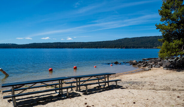 Scenic view of the bright blue waters of Payette Lake in McCall, Idaho, surrounded by dense evergreen pine forests under a clear summer sky.