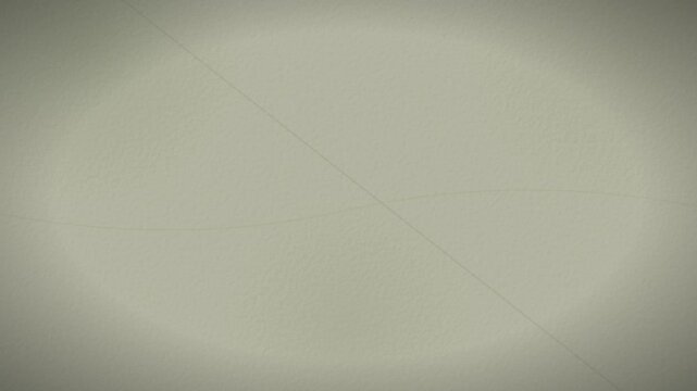 sophisticated olive green distressed canvas vector loop