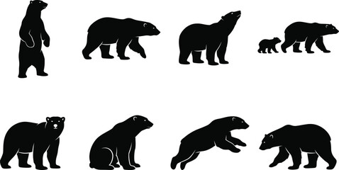Fototapeta premium Set of black polar bear silhouettes in various poses including standing walking sitting and running isolated on white background