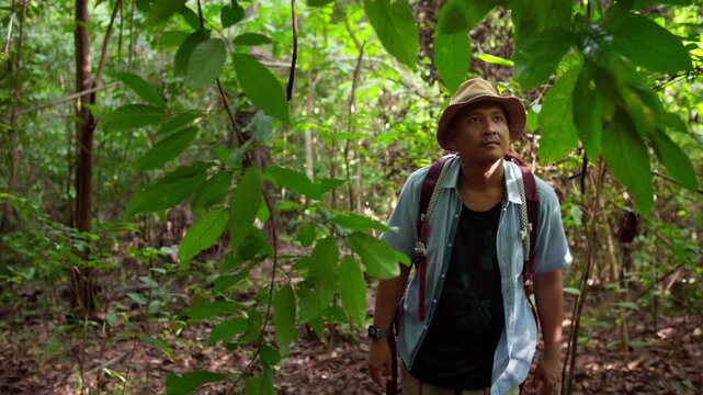 Asian man walking into a lush rainforest for an outdoor adventure, trekking along a natural jungle trail surrounded by dense tropical greenery and vibrant vegetation.